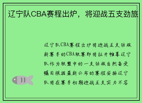 辽宁队CBA赛程出炉，将迎战五支劲旅